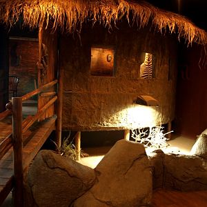 Tropikariet - Masai Mara Café