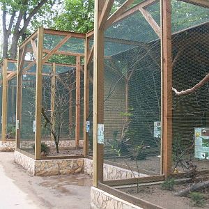 The new Pheasant Garden