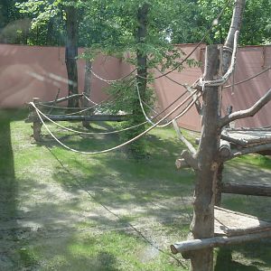 Gorilla exhibit-under construction