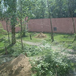 Gorilla exhibit-under construction