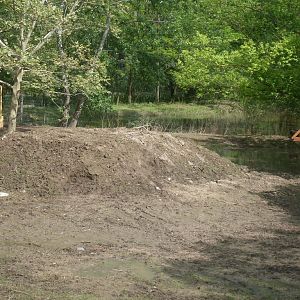 The new Africa mixed exhibit