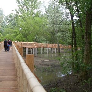 The new Africa mixed exhibit