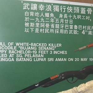 sign for Bujang Senang skull
