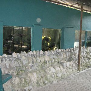 aquarium tanks
