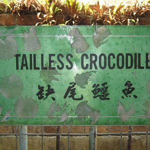 sign for tailless crocodile!