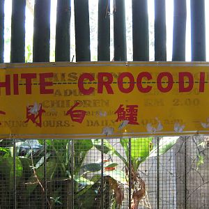 sign for white crocodile