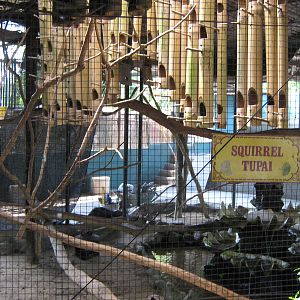 squirrel cage