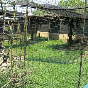 otter cage