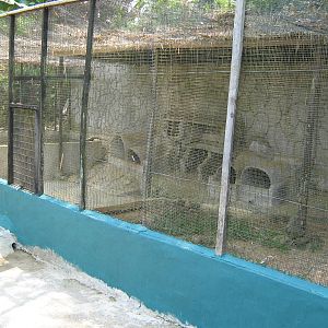 otter cage