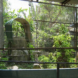 crab-eating macaque cage