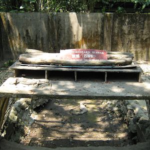 pit for water monitors (Varanus salvator)