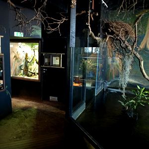 Tropikariet - Africa