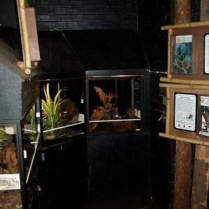 Tropikariet - South America (terraria)