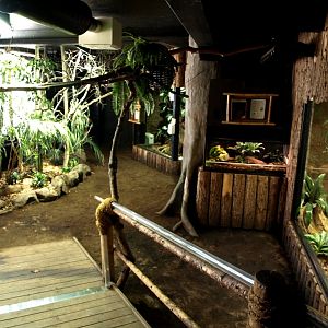 Tropikariet - South America