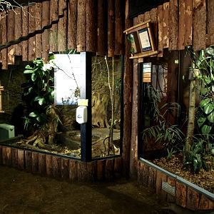 Tropikariet - South America (tamarin exhibits)