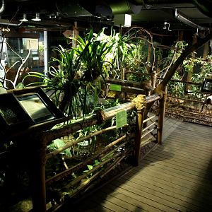 Tropikariet - South America