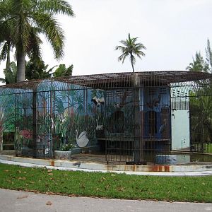 Jaguar cages