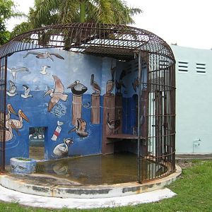 Jaguar cages