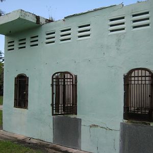 Jaguars cages backside