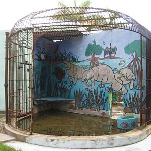 Jaguar cage