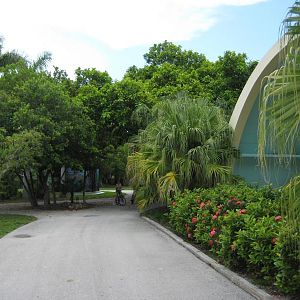 Park View with Gibbon Cage