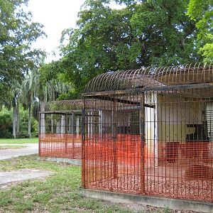 Big cat cages