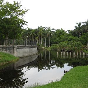 Elephant Viewing area