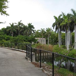 Elephant viewing Area