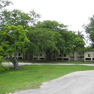 Bakcside of Big Cat cages