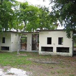 Backside of Big Cat cages