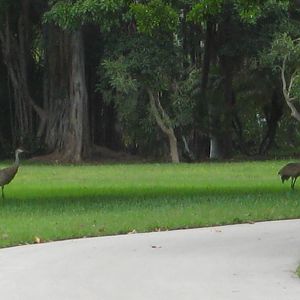 Still Anumal Life in the Zoo