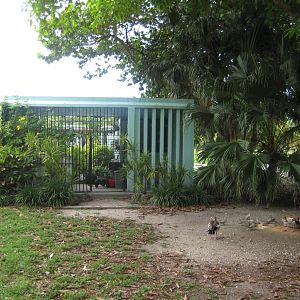 Bear or Hyena Cage ?