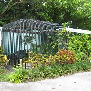 Bear or Hyeana cage ?