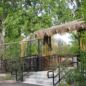 African Plains - Giraffe Viewing Deck