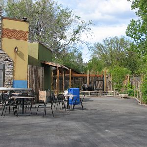 African Plains - General View