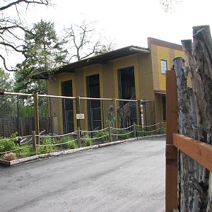 African Plains - Giraffe Barn