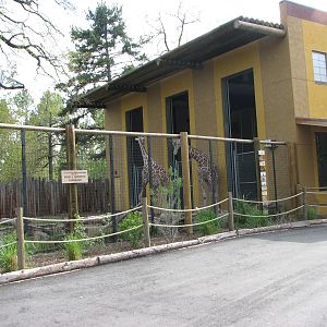 African Plains - Giraffe Barn