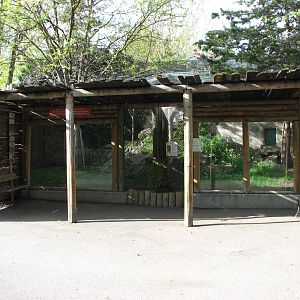 Snow Leopard Lower Exhibit