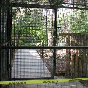 Wallaby Walkabout Under Construction