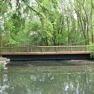 African Plains - Bridge Over Lagoon