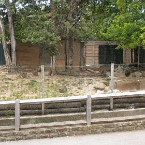 Giant Anteater exhibit