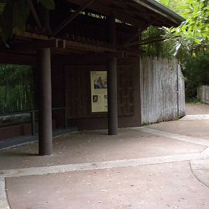 Tiger viewing area