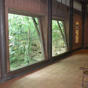 Tiger "Thai" building and viewing