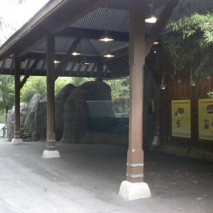 Otter exhibit
