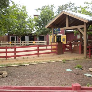 Children's Zoo - Pony Rides