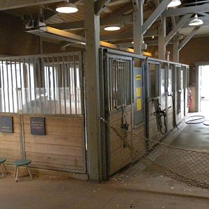 Children's Zoo - Barn