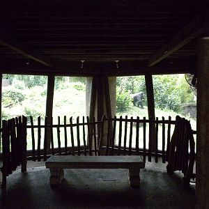 North Gorilla Viewing Bunker