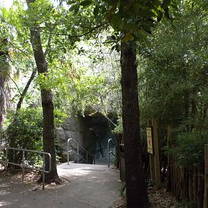 South Gorilla Viewing Bunker