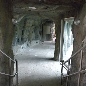 South Gorilla Viewing Bunker