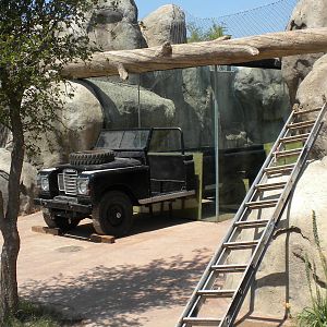 Giants of the Savanna - the Cheetah's new Land Rover